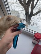 Фото из отзыва пользователя