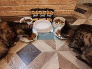 Фото из отзыва пользователя