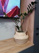 Фото из отзыва пользователя