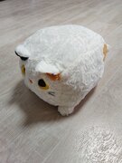 Фото из отзыва пользователя