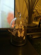 Фото из отзыва пользователя