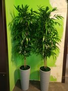 Фото из отзыва пользователя