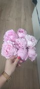 Фото из отзыва пользователя
