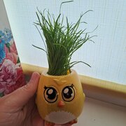 Фото из отзыва пользователя