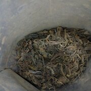 Фото из отзыва пользователя