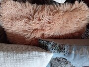 Фото из отзыва пользователя