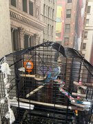 Фото из отзыва пользователя