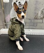 Фото из отзыва пользователя