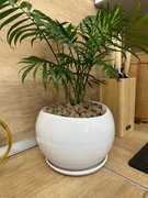 Фото из отзыва пользователя