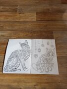 Фото из отзыва пользователя