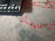 Фото из отзыва пользователя