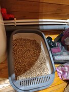 Фото из отзыва пользователя