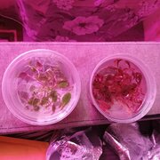 Фото из отзыва пользователя