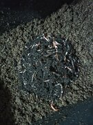 Фото из отзыва пользователя