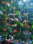 Фото из отзыва пользователя