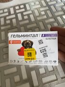 Фото из отзыва пользователя