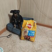 Фото из отзыва пользователя