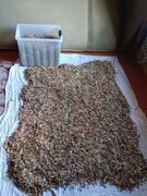 Фото из отзыва пользователя