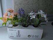 Фото из отзыва пользователя