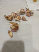 Фото из отзыва пользователя