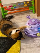 Фото из отзыва пользователя