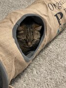Фото из отзыва пользователя