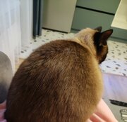 Фото из отзыва пользователя