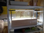 Фото из отзыва пользователя