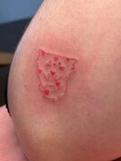 Фото из отзыва пользователя