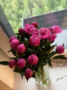 Фото из отзыва пользователя