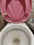 Фото из отзыва пользователя