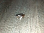 Фото из отзыва пользователя