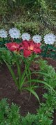 Фото из отзыва пользователя