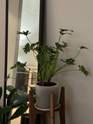 Фото из отзыва пользователя