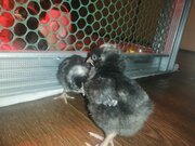 Фото из отзыва пользователя