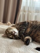 Фото из отзыва пользователя