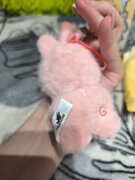 Фото из отзыва пользователя