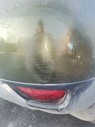 Фото из отзыва пользователя