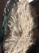 Фото из отзыва пользователя