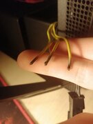 Фото из отзыва пользователя