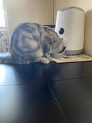 Фото из отзыва пользователя