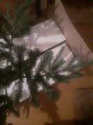 Фото из отзыва пользователя
