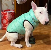 Фото из отзыва пользователя