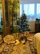 Фото из отзыва пользователя