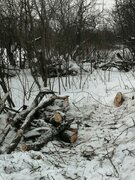 Фото из отзыва пользователя