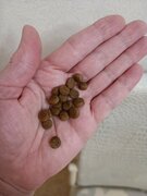 Фото из отзыва пользователя