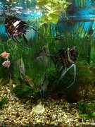 Фото из отзыва пользователя