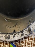 Фото из отзыва пользователя