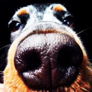 Фото из отзыва пользователя