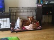 Фото из отзыва пользователя